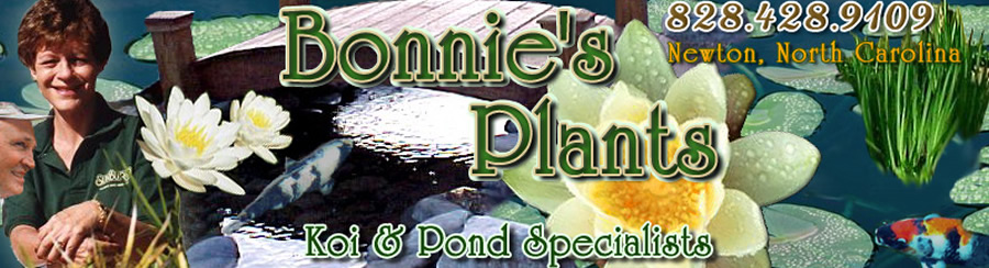 Home page of bonniesplants.com