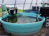 650 gallon tank