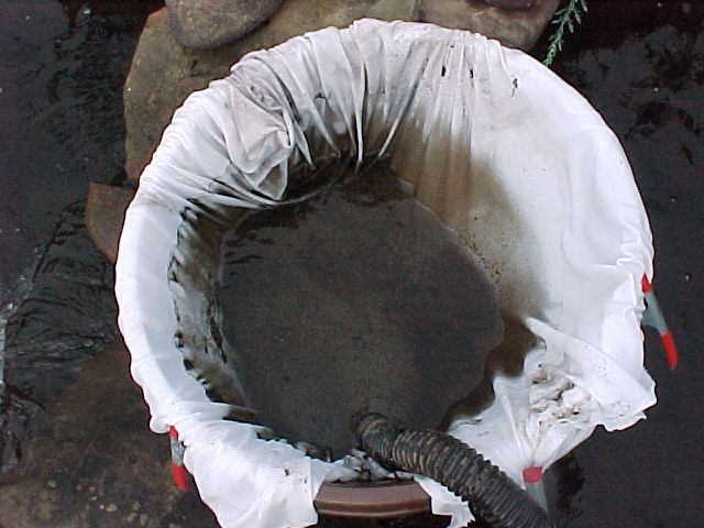 dirty water going into the laundry basket