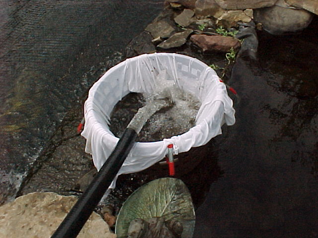 Water from the pump is running into the laundry basket 