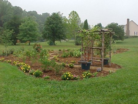arbor for grapes.  We planted blueberry and raspberry bushes in this bed