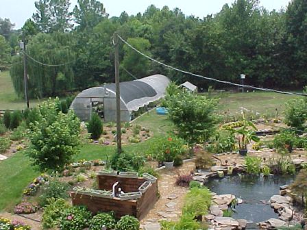 greenhouse at the near the back of our property